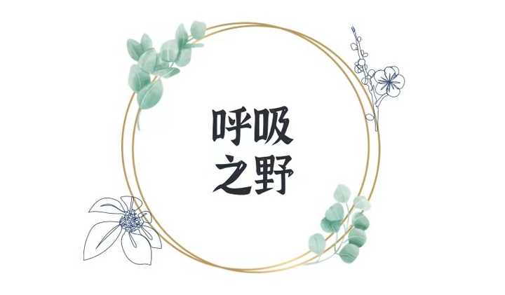 歌词内涵 知乎 歌词内涵 知乎