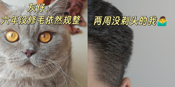 为什么动物的毛发不会像人类一样不停地生长？