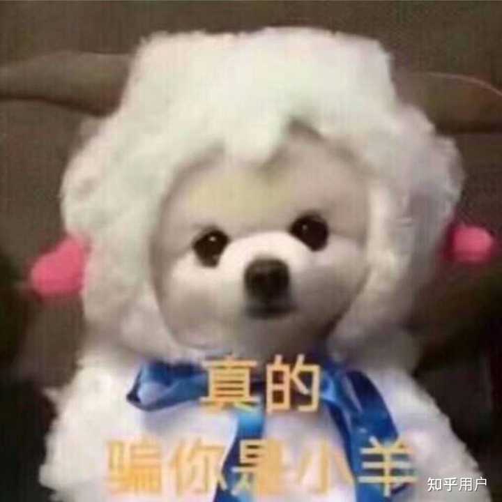 有没有点什么傻逼头像用用? - 知乎
