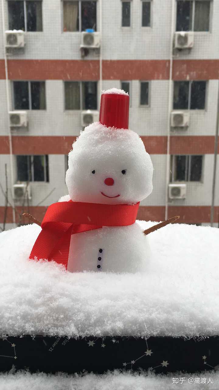 说说你身边真实的南方人看到雪的反应?