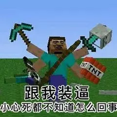 有哪些Minecraft的表情包呢? - 知乎