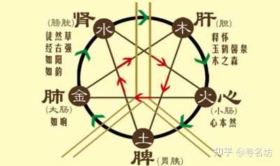 如何判断一个人的五行属性 知乎 如何判断一个人的五行属性 知乎
