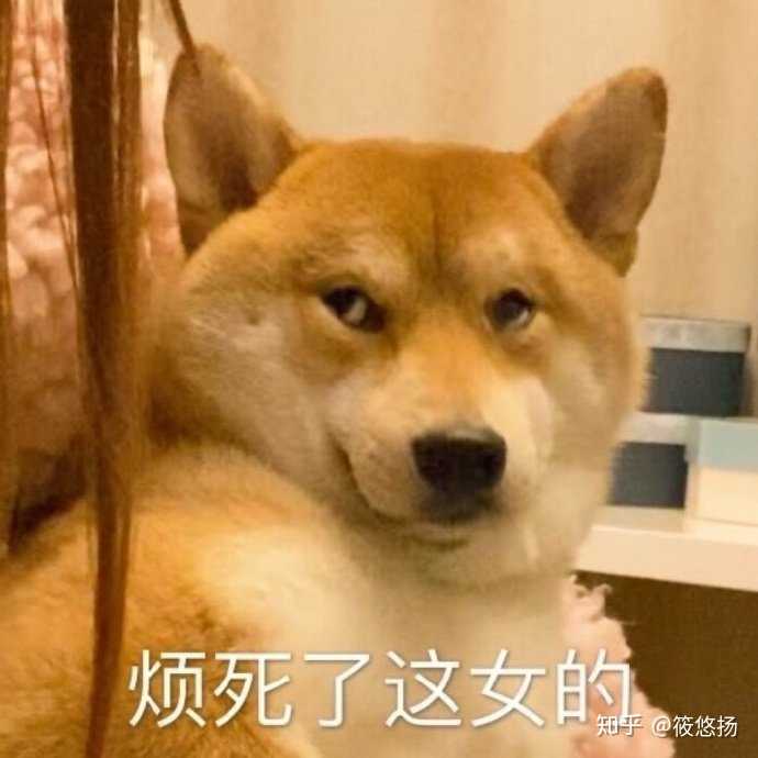 以 我的男宠是可以随时干掉我的大佬 为开头 能写出什么样的故事 知乎 以 我的男宠是可以随时干掉我的大佬 为开头 能写出什么样的故事 知乎