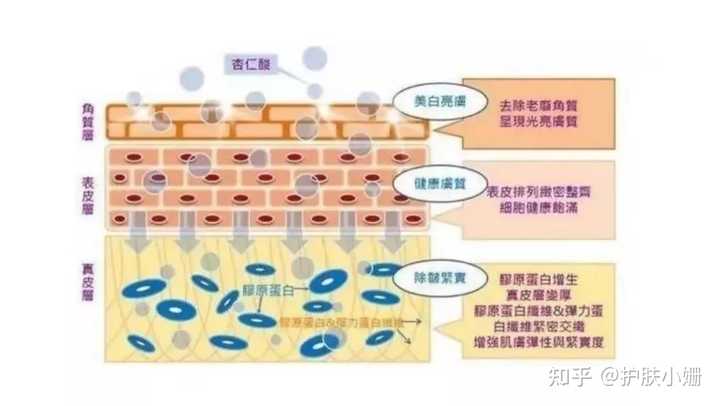 如何正确刷酸？ 知乎