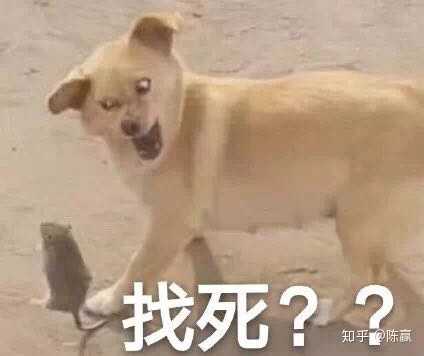 有哪些很皮的句子?
