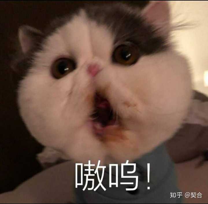 如何以 父亲想让我替姐姐进宫 为开头写一个故事 知乎 如何以 父亲想让我替姐姐进宫 为开头写一个故事 知乎