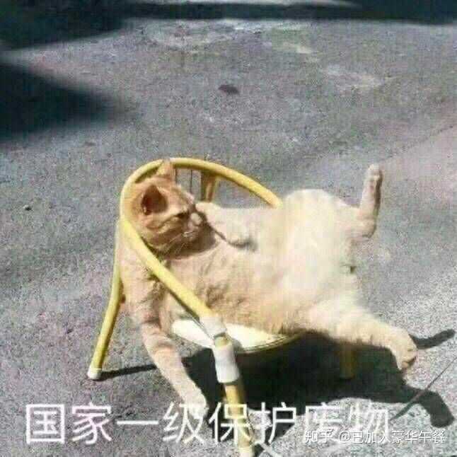 沙雕的男生一定找不到女朋友麼?