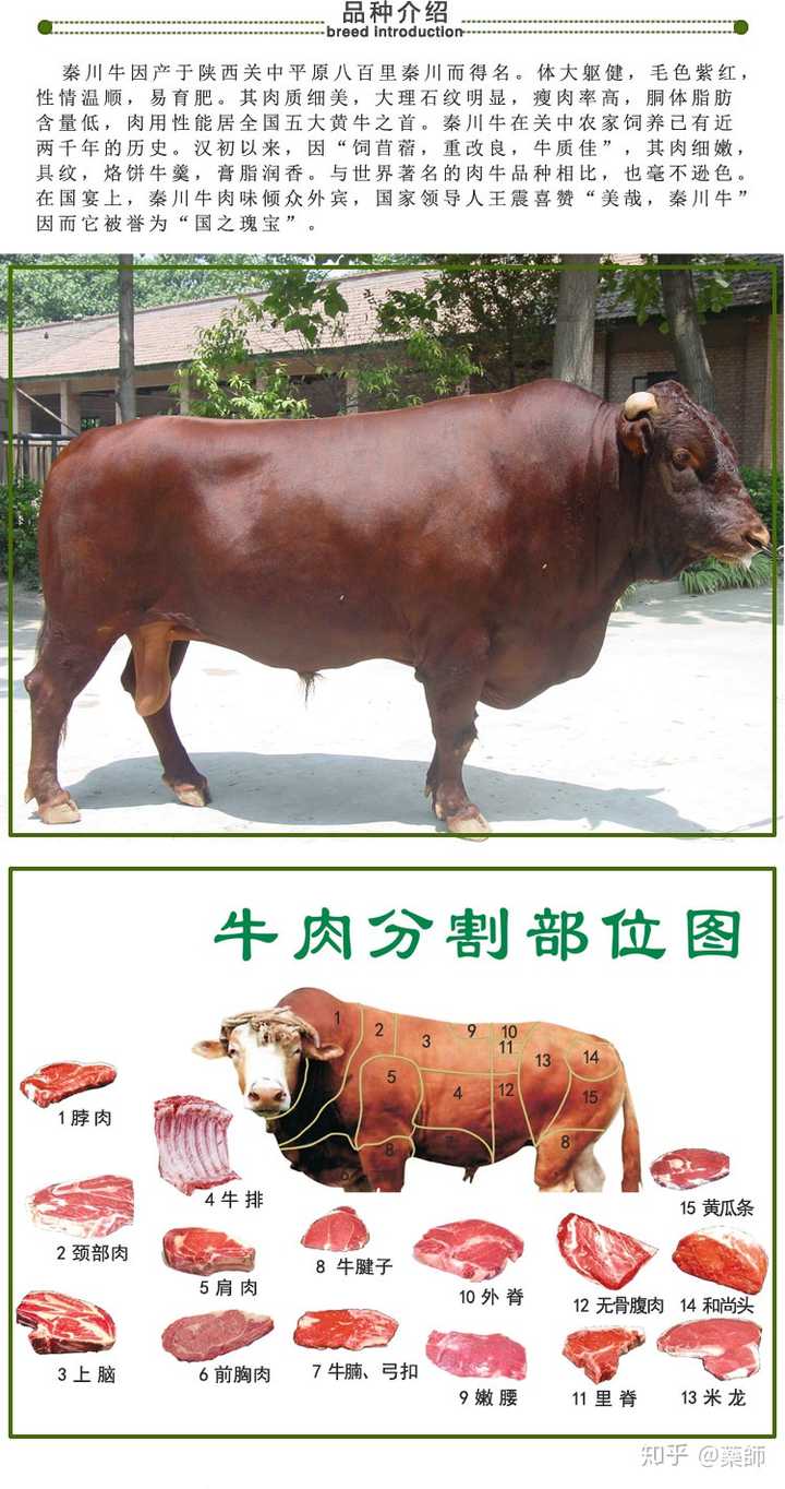 为什么市面上大多牛排馆突出宣传自己的牛肉是澳洲牛肉 国内的牛肉难道就不如澳牛了吗 知乎 为什么市面上大多牛排馆突出宣传自己的牛肉是澳洲牛肉 国内的牛肉难道就不如澳牛了吗 知乎