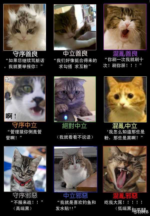 有哪些有意思的DND九宫格梗图? - 知乎