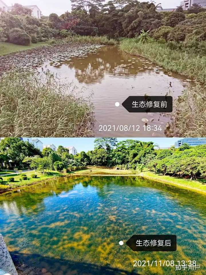 什么叫生态修复工程? - 知乎