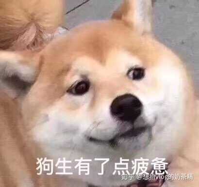 情侣间 25cm的身高差是什么感觉 男高女低 知乎 情侣间 25cm的身高差是什么感觉 男高女低 知乎