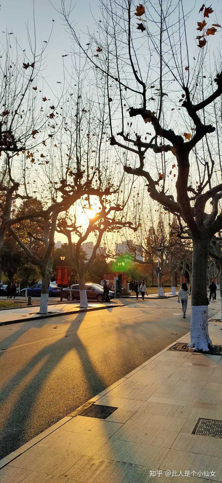 你有没有随手一拍却很美的照片?