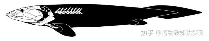 在地球的几十亿年历史上 发生过哪些全球级别的自然事件 知乎