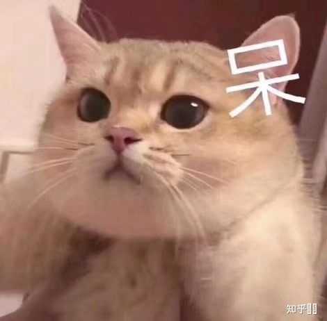 你们相信冥冥之中注定的缘分吗 知乎 你们相信冥冥之中注定的缘分吗 知乎