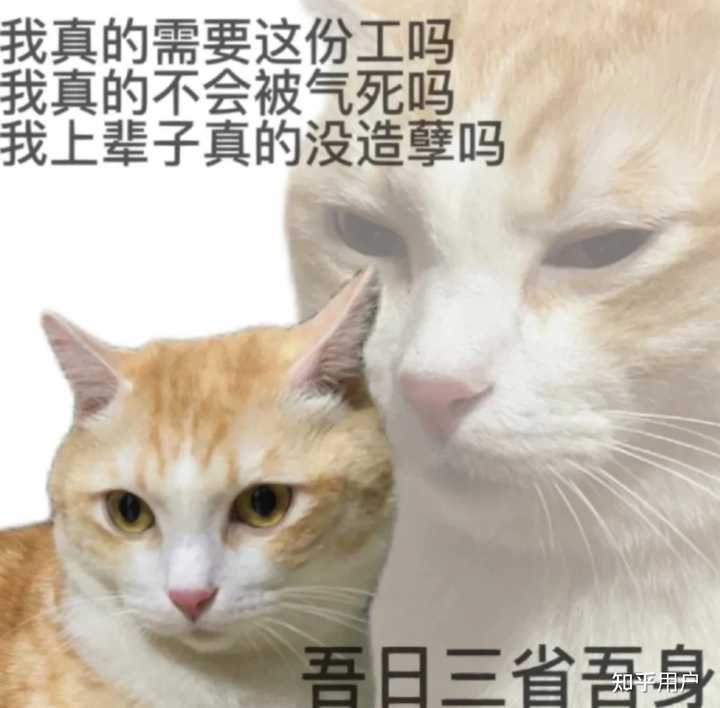 友友们,有没有发疯发癫的表情包? - 知乎