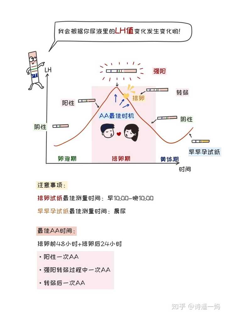 备孕有什么技巧 知乎