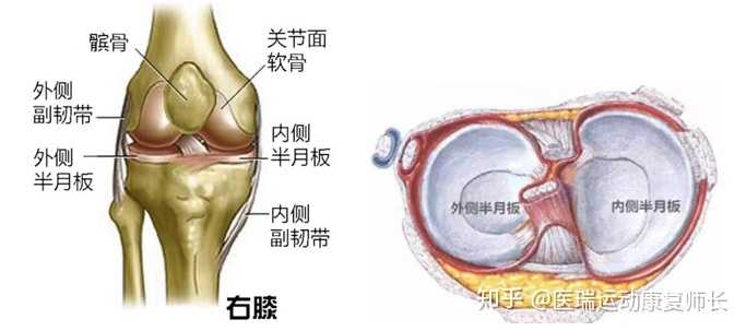 如何自行确认半月板是否损伤 知乎