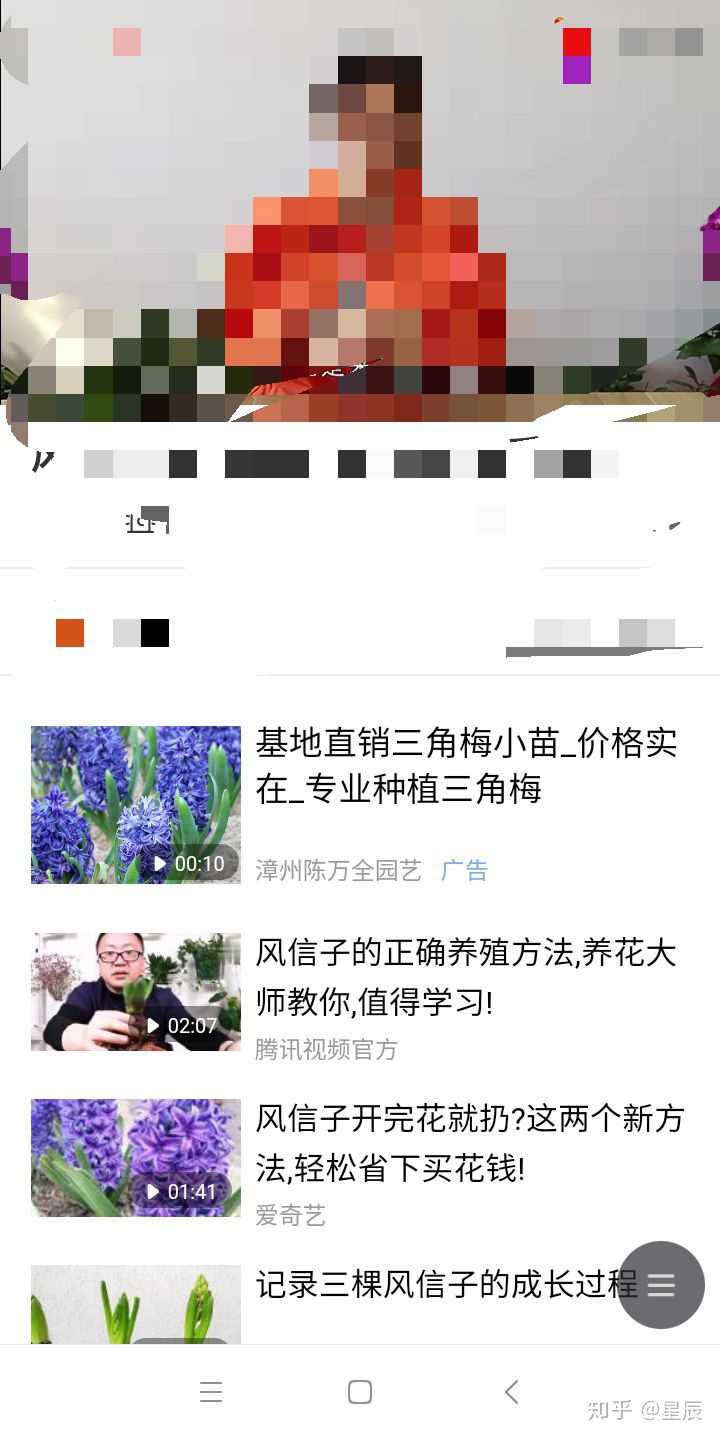 什么植物是粉绿色的 什么东西是粉绿色的 粉色叶子的植物名称