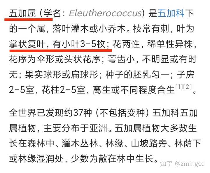 五片叶子的植物都有哪些？ - 知乎