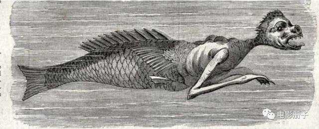 美人鱼究竟是鱼是兽还是人 应归属何类 Forza Horizon 的回答 知乎