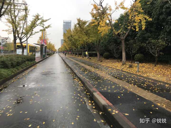 圖片是某天下班,結果下雨覺得道路很美 但是一個人在上海真的是很孤單