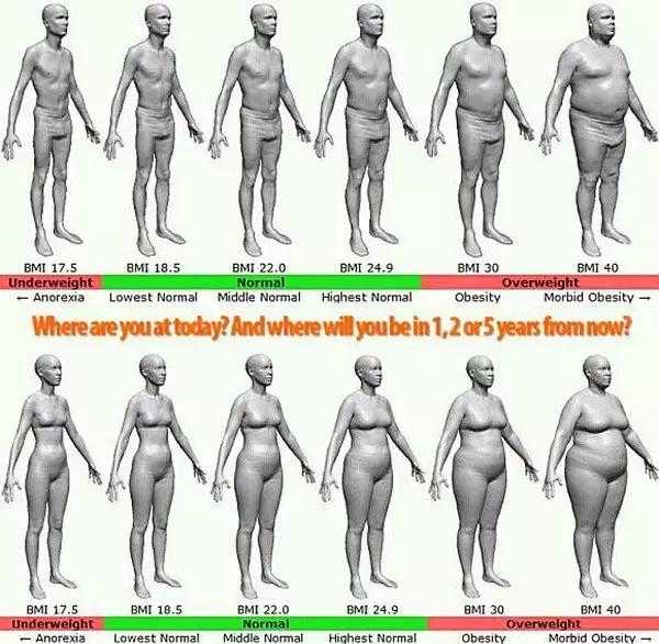 女身高166 体重51kg 体脂率30 怎么减脂 知乎