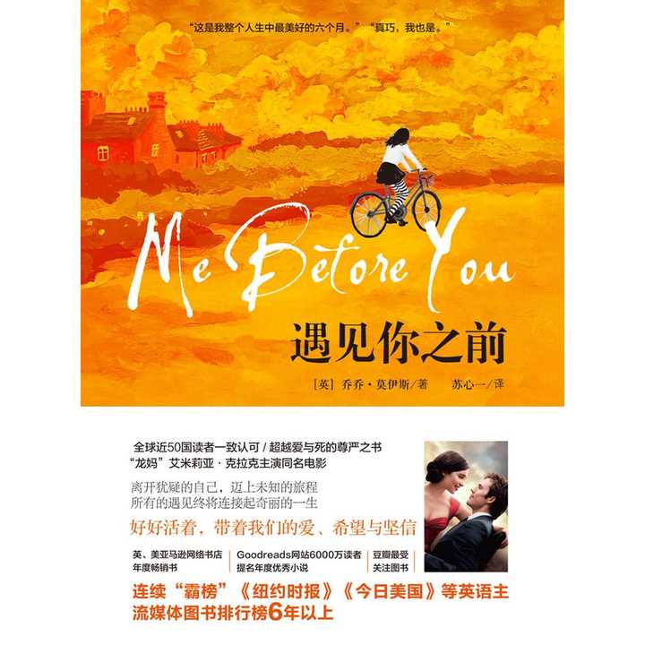 遇见你之前书籍