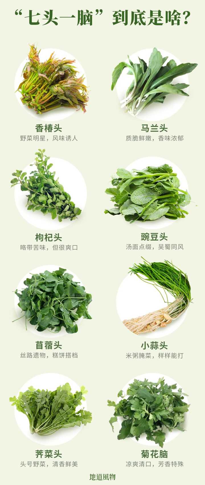 有哪些可食用的野菜 知乎