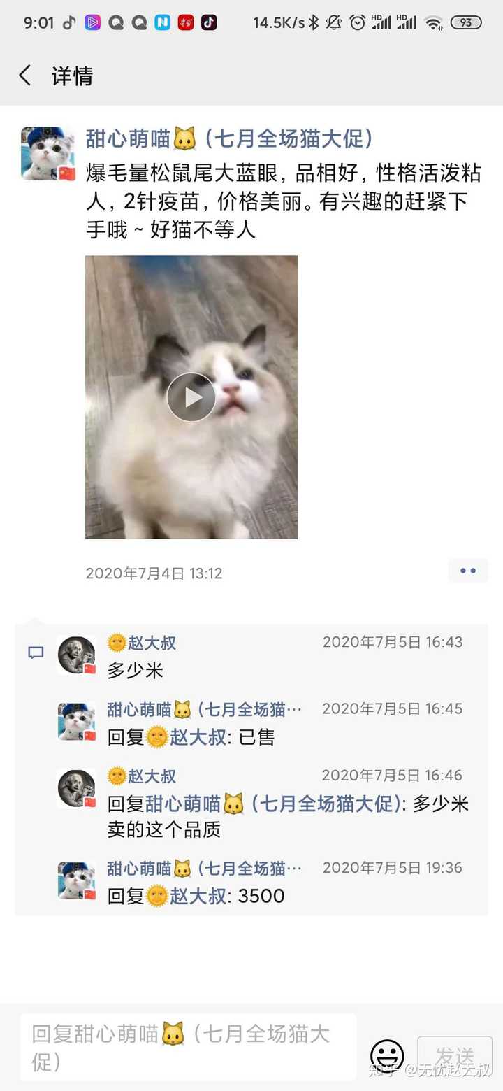 如何买到东北布偶猫 知乎