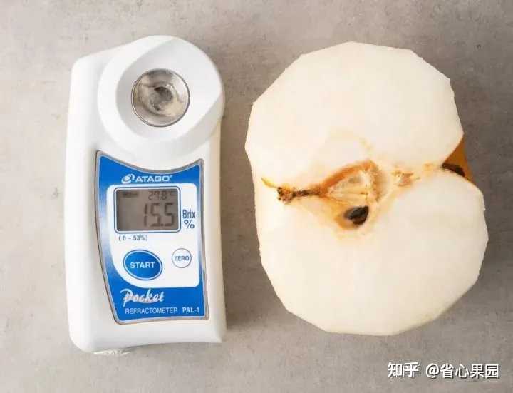 秋月梨是什么品种? - 知乎