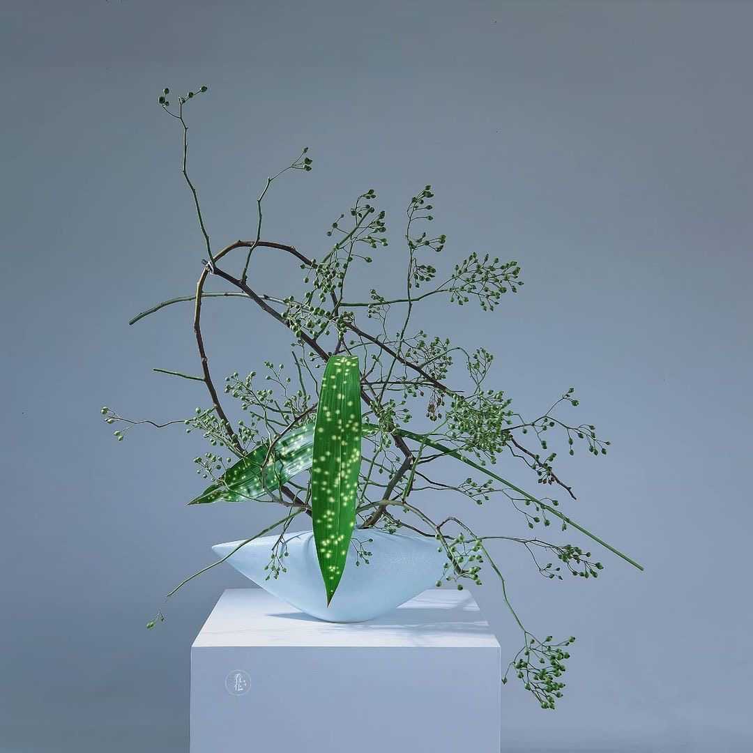 13:57鹿石花艺导师:ada老师草月流作品笔记分享: 【草月流特征】插花