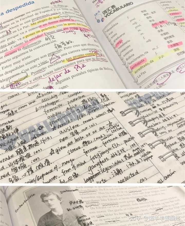 西班牙语DELE考试不同等级到底是什么水平? - 知乎