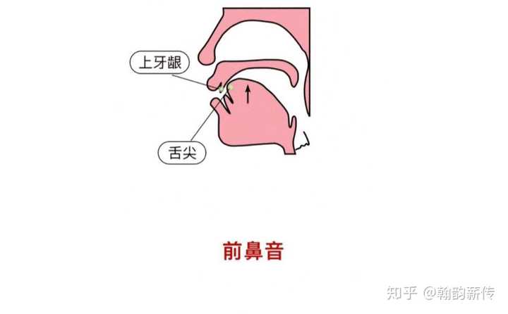 前后鼻音不分怎么办，读出来全都是前鼻音，去后鼻音需要很浮夸地才能读出来？