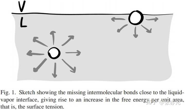 如何理解液体表面张力 知乎