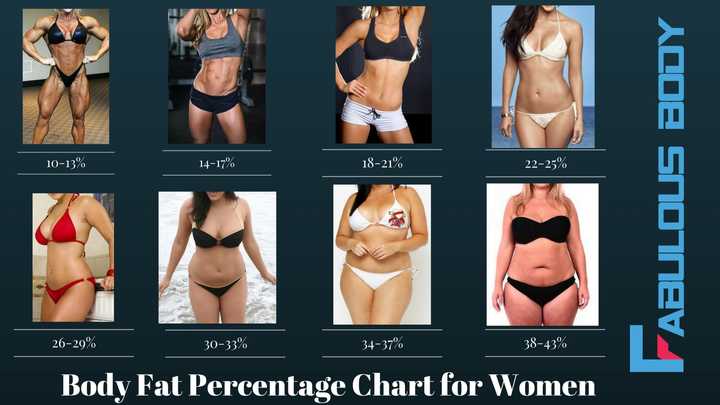 体 脂肪 率 26 女性