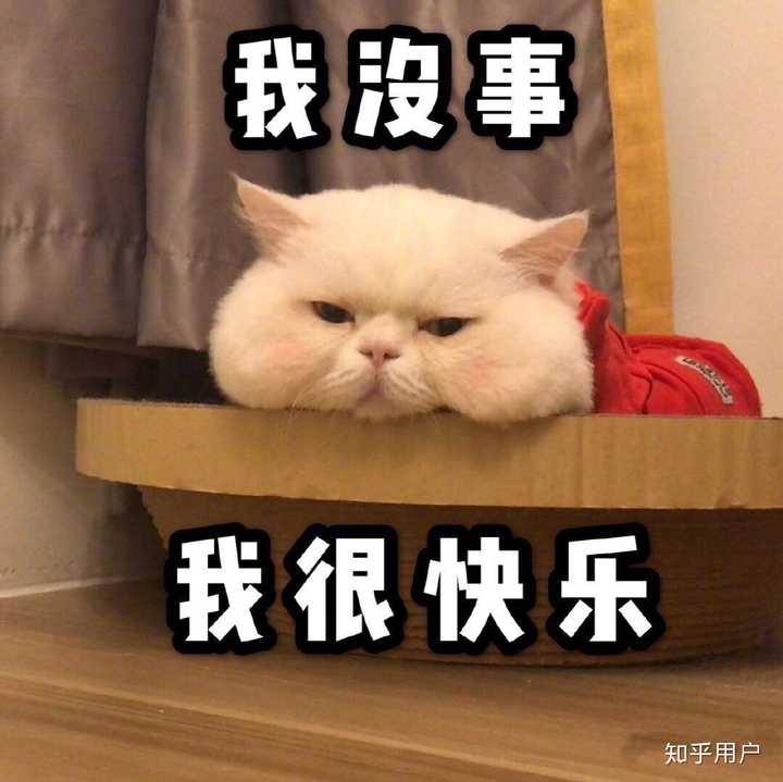 有没有很难过的表情包? - 知乎