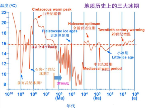 人类驯服大鹅这种家禽的意义在哪? - 知乎