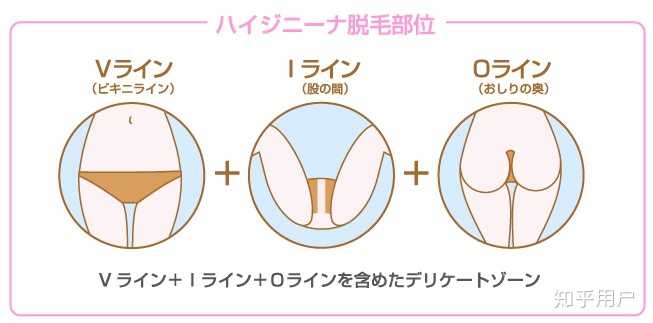 有人能来科普一下比基尼脱毛脱净和脱vio区有什么不同么 知乎