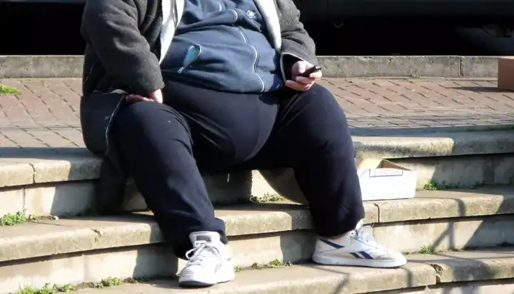 2007年4月13日,最新一项研究发现,16%的肥胖症归咎于基因问题 / 视觉