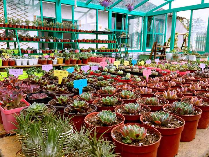 怎样在院子里建一个玻璃花房 知乎