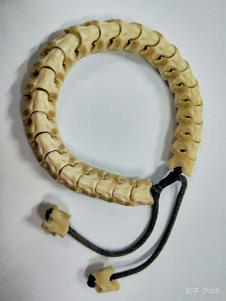 有哪位大佬给我指点一下蛇骨的盘玩要点谢谢?