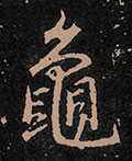 「龟」的繁体字有这么多种写法,我们应该选择哪一个呢? - 知乎