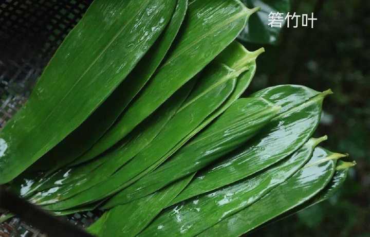 箬叶为什么取代菰叶成为现在主流的粽叶呢？ - 知乎