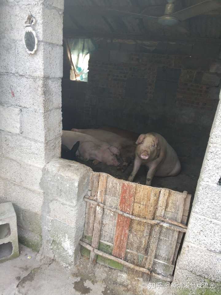 非常非常想隐居怎么办 知乎 非常非常想隐居怎么办 知乎
