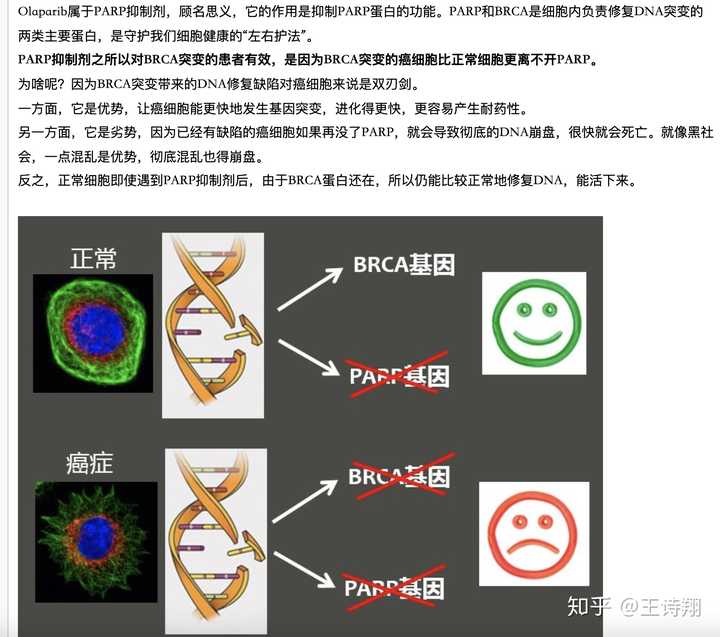 brca12基因检测查的遗传突变还是后天突变