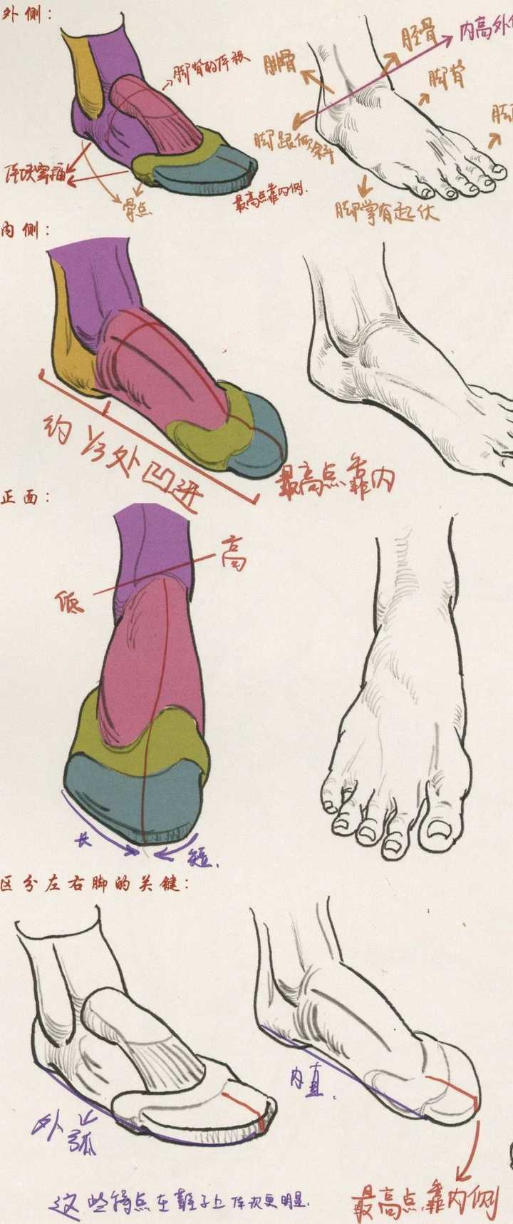 速写怎么画脚 鞋 长沙大美艺术培训学校的回答 知乎