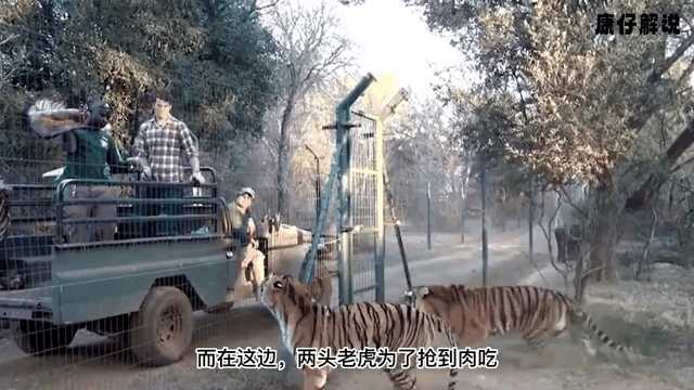 动图封面