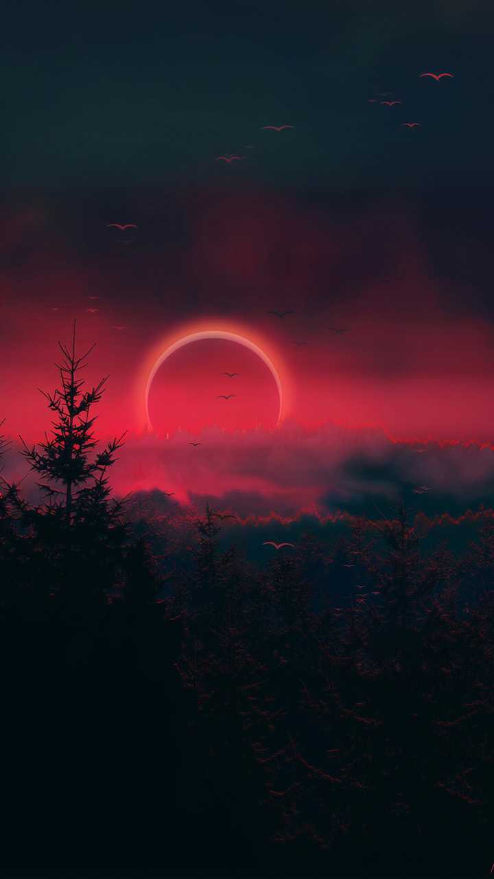 有哪些热门壁纸?