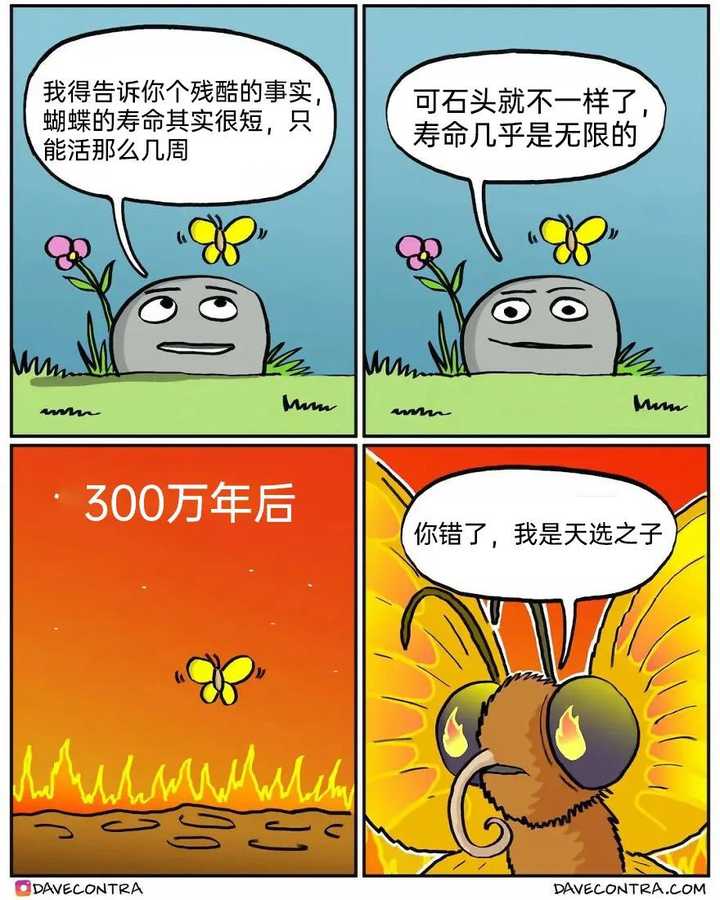 你看过的最有意思的meme、梗图有哪些? - 知乎