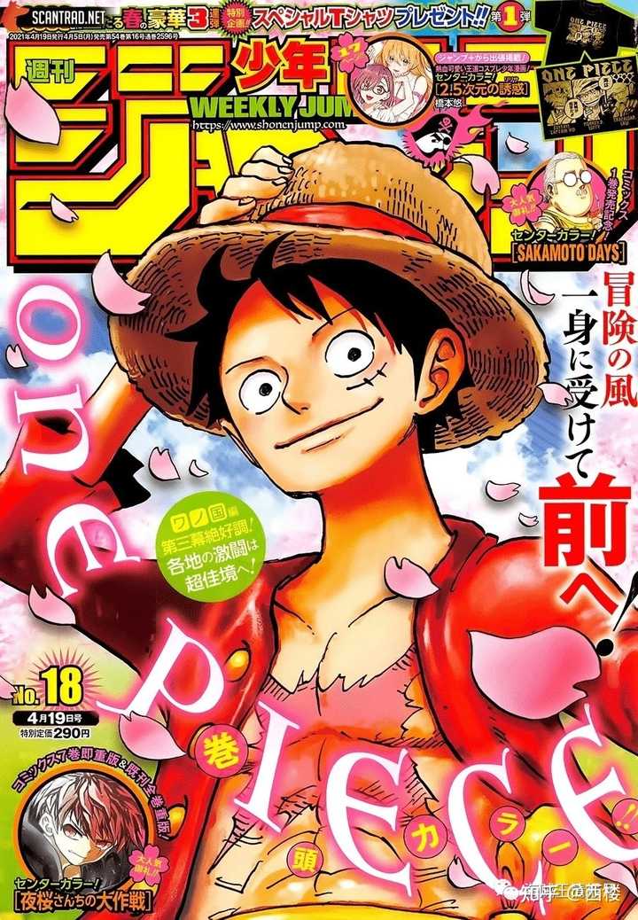 One Piece 巻 発売 日